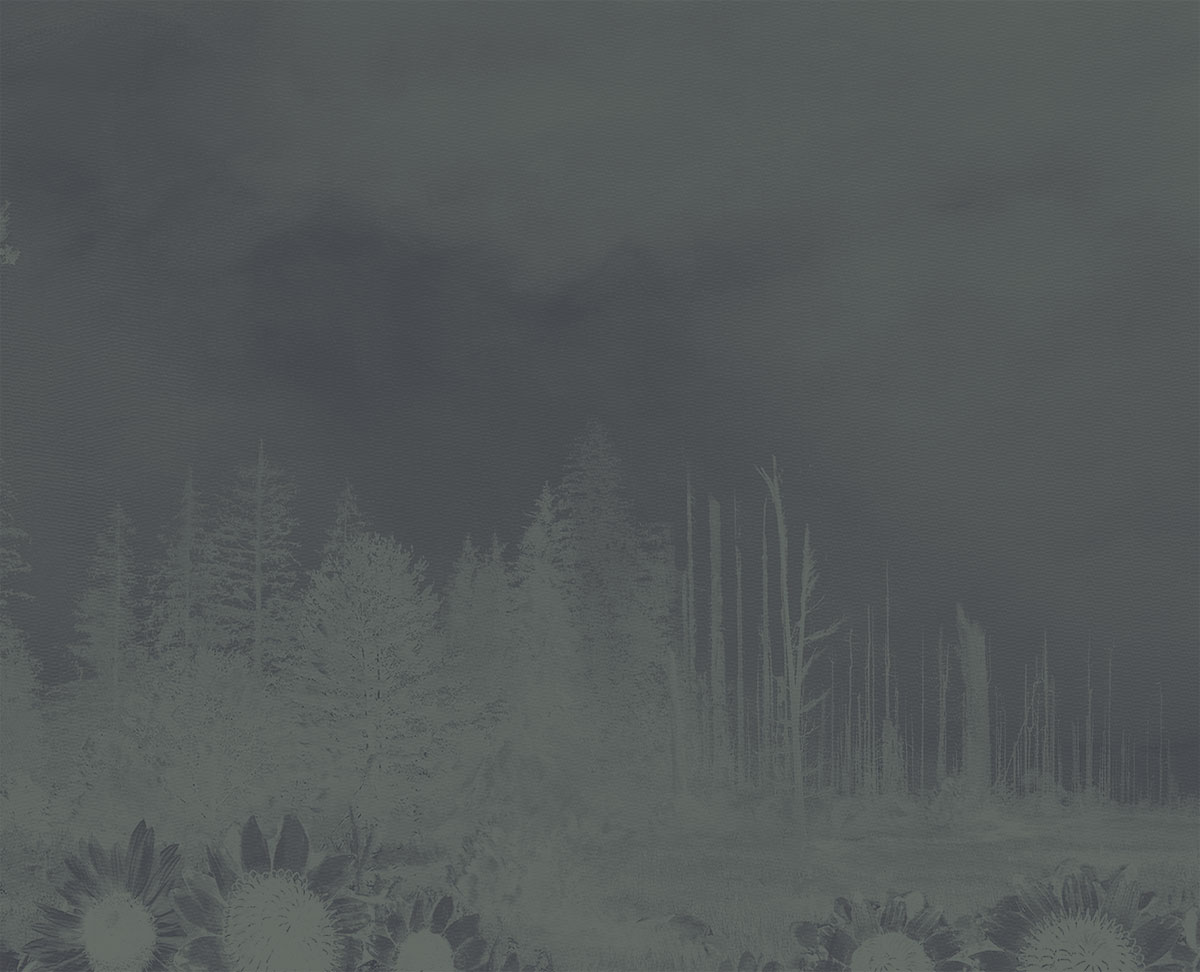 The Acacia Strain